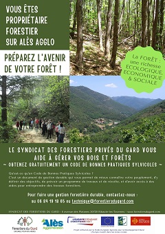 image Code de Bonnes Pratiques Sylvicoles : le GDF vous aide à gérer durablement vos forêts